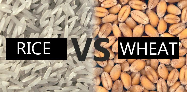 Rice vs Wheat – Which one is better for you