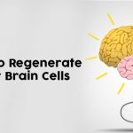 How To Regenerate Your Brain Cells