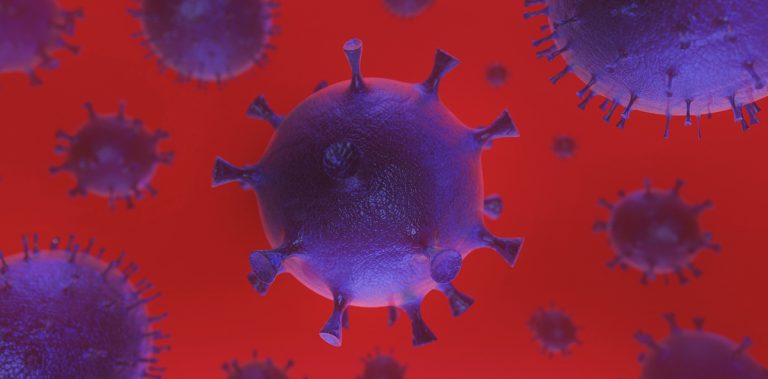 Immune system can fight back Coronavirus