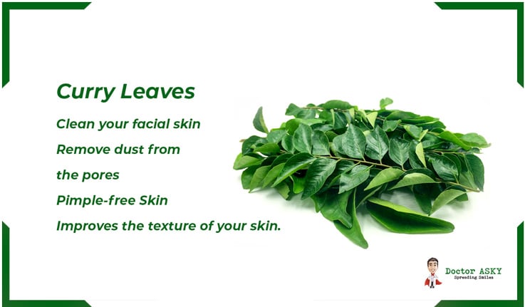 Curry Leaves 