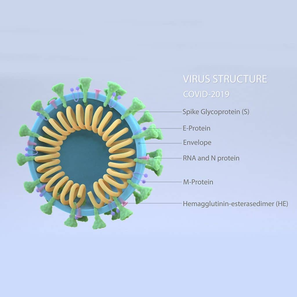 New strains of Coronavirus