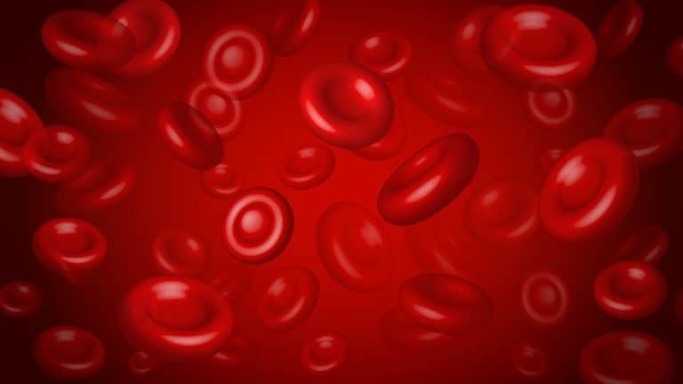 What is Anemia?