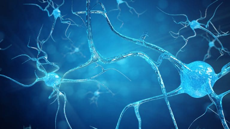 Forms Of Motor Neuron Disease