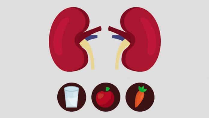 best foods for kidney health