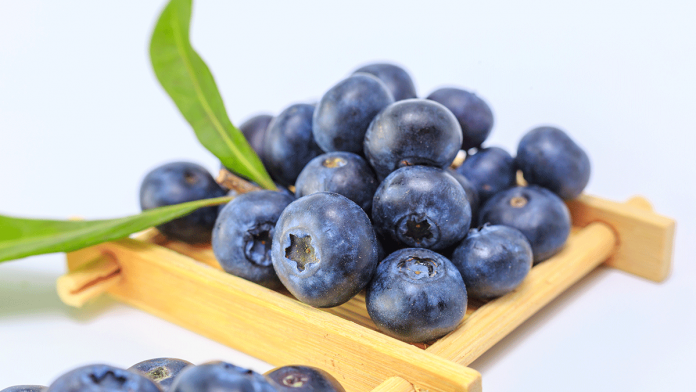 Health Benefits Of Blueberries