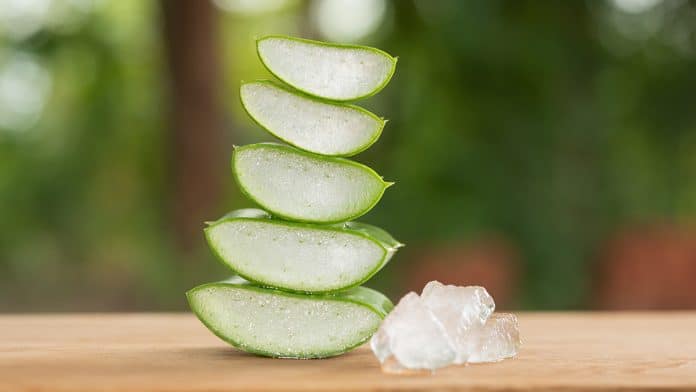 Amazing Benefits Of Aloe Vera